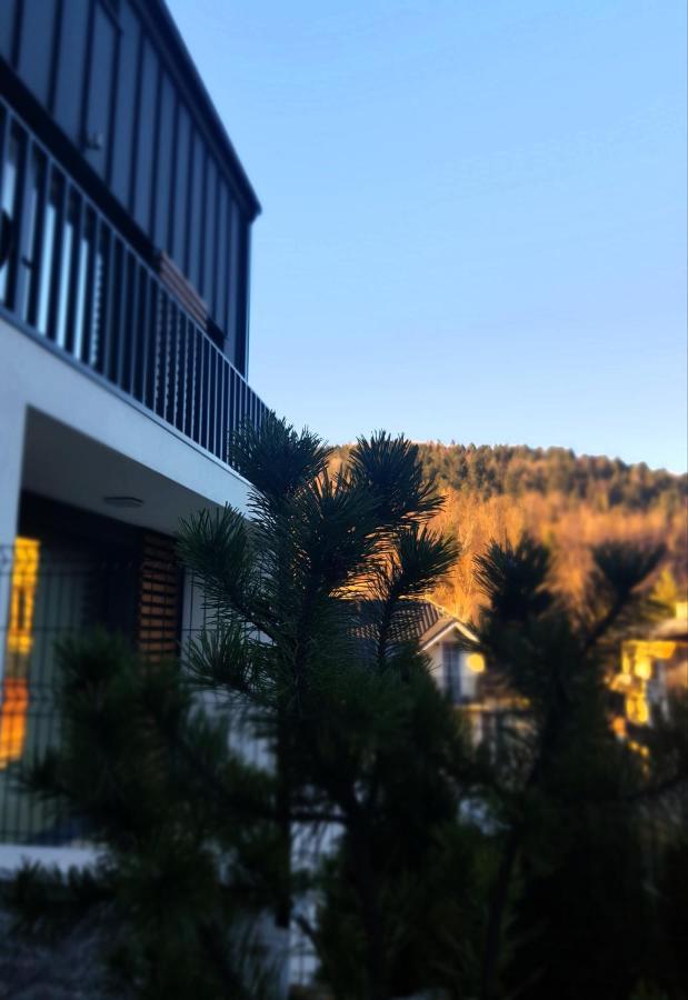 שצ'צ'ירק Apartament "Oldmountain" Olimpijska 1C 1 מראה חיצוני תמונה